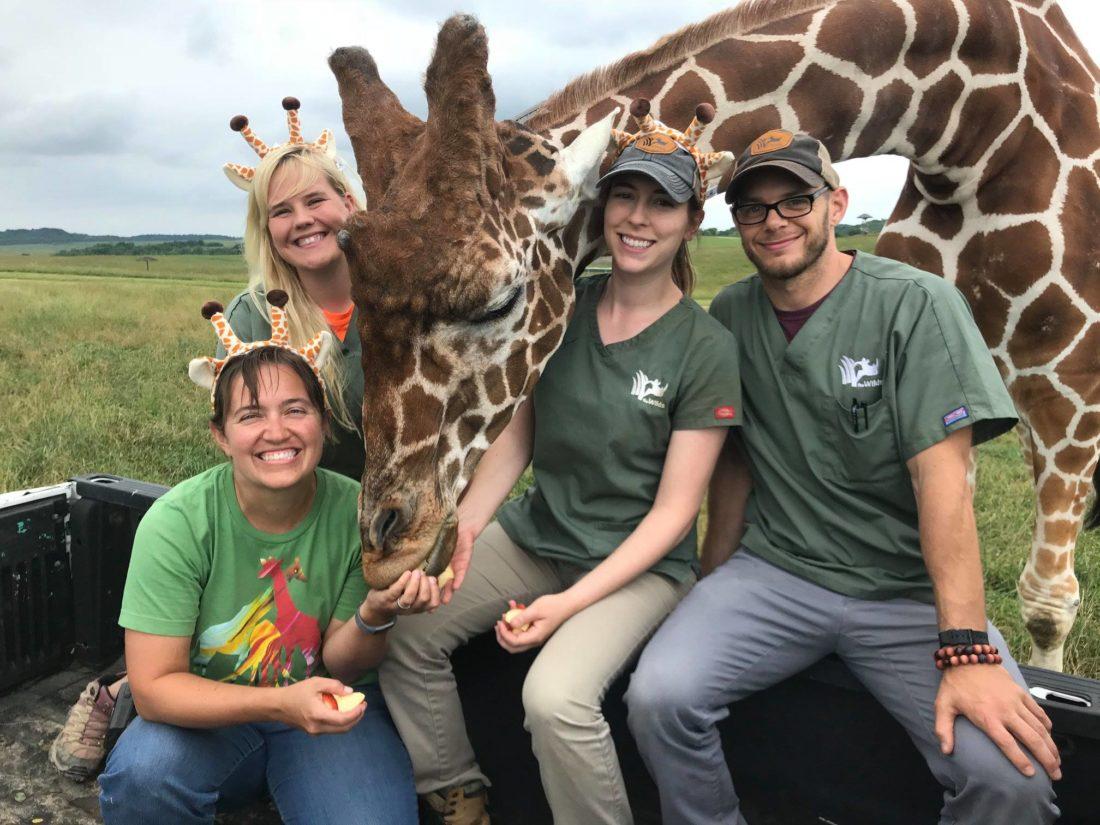 8 PAWsome Places To Volunteer With Animals