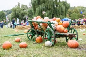 Fall fest banner