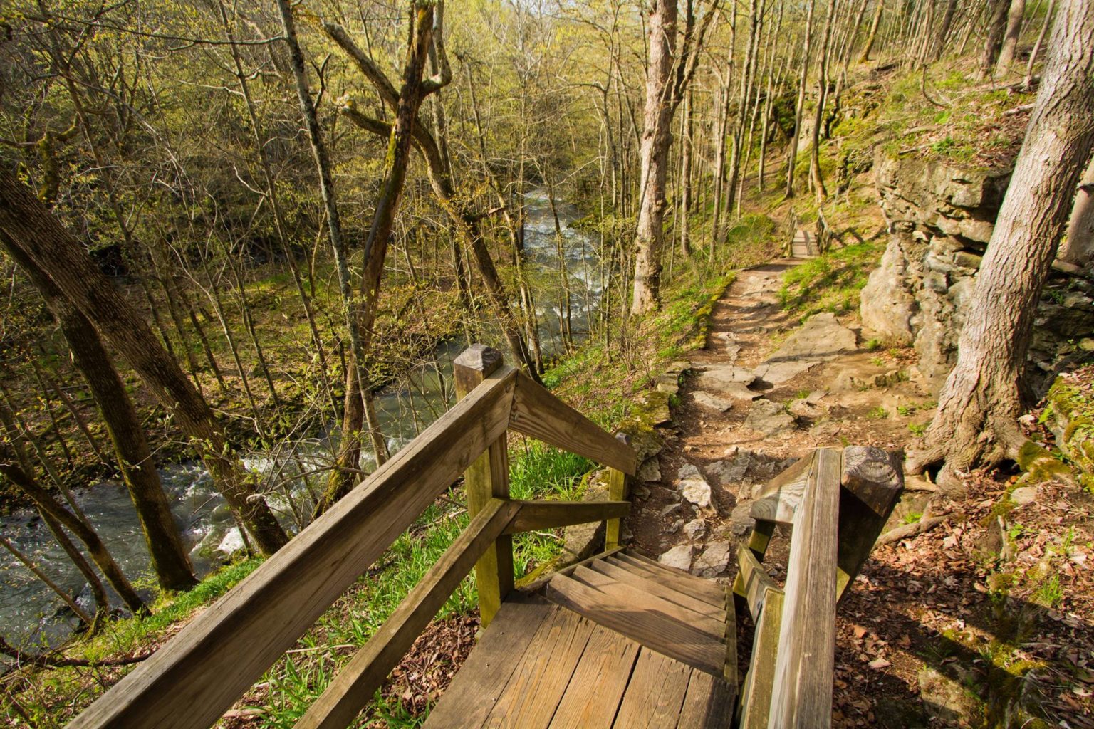 The Best Things To Do In Yellow Springs