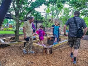 Family walks across low wooden balance beam course among tree stumps outdoors