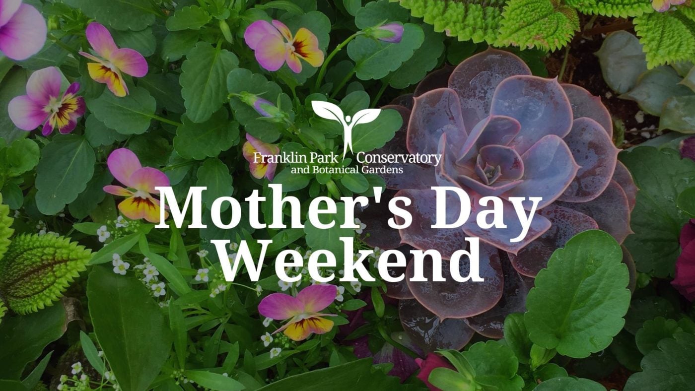 6 Exciting Mother's Day Events In Columbus