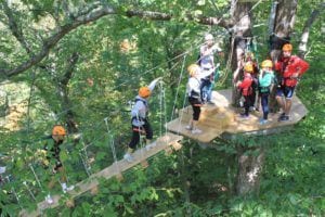 People cross a wooden rope bridge between platforms in the forest canopy