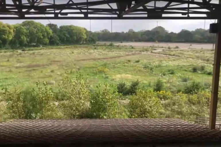 Cooper Stadium Looks Like An Apocalyptic Wasteland And It's Hitting Hard In The Feels 9 Overgrown field seen through the stadium's covered grandstand structure
