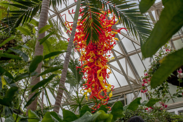 chihuly at franklin park conservatory
