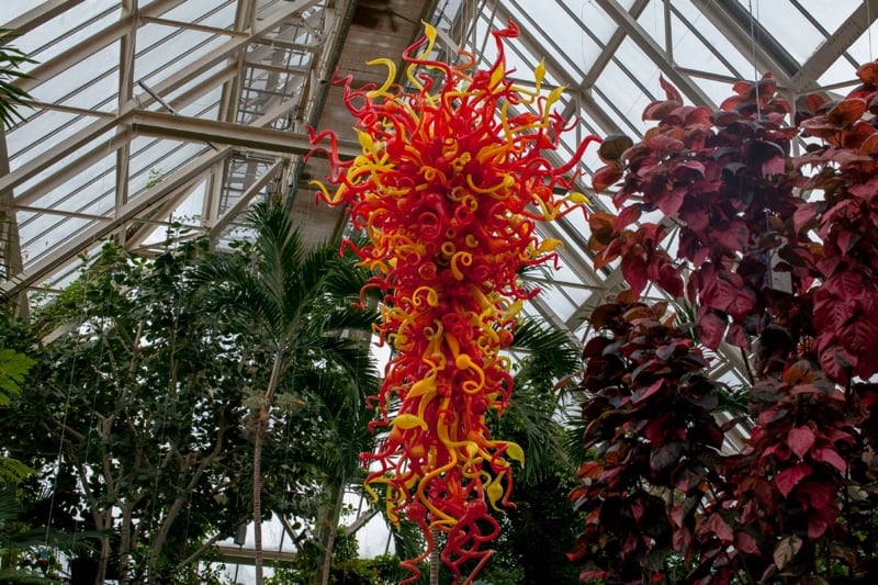 Red and yellow chihuly glass art at Franklin Park Conservatory