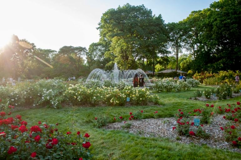 Fountain surrounded by rose beds at the Whetstone Park of Roses