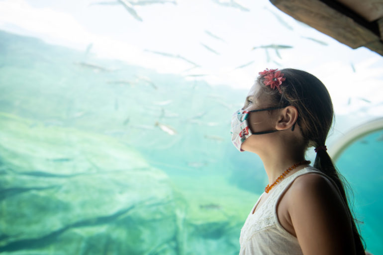 Adventure Cove Is Now Open At The Columbus Zoo And Aquarium 1 Young girl wearing snorkel mask gazes at tropical fish through underwater viewing panel.
