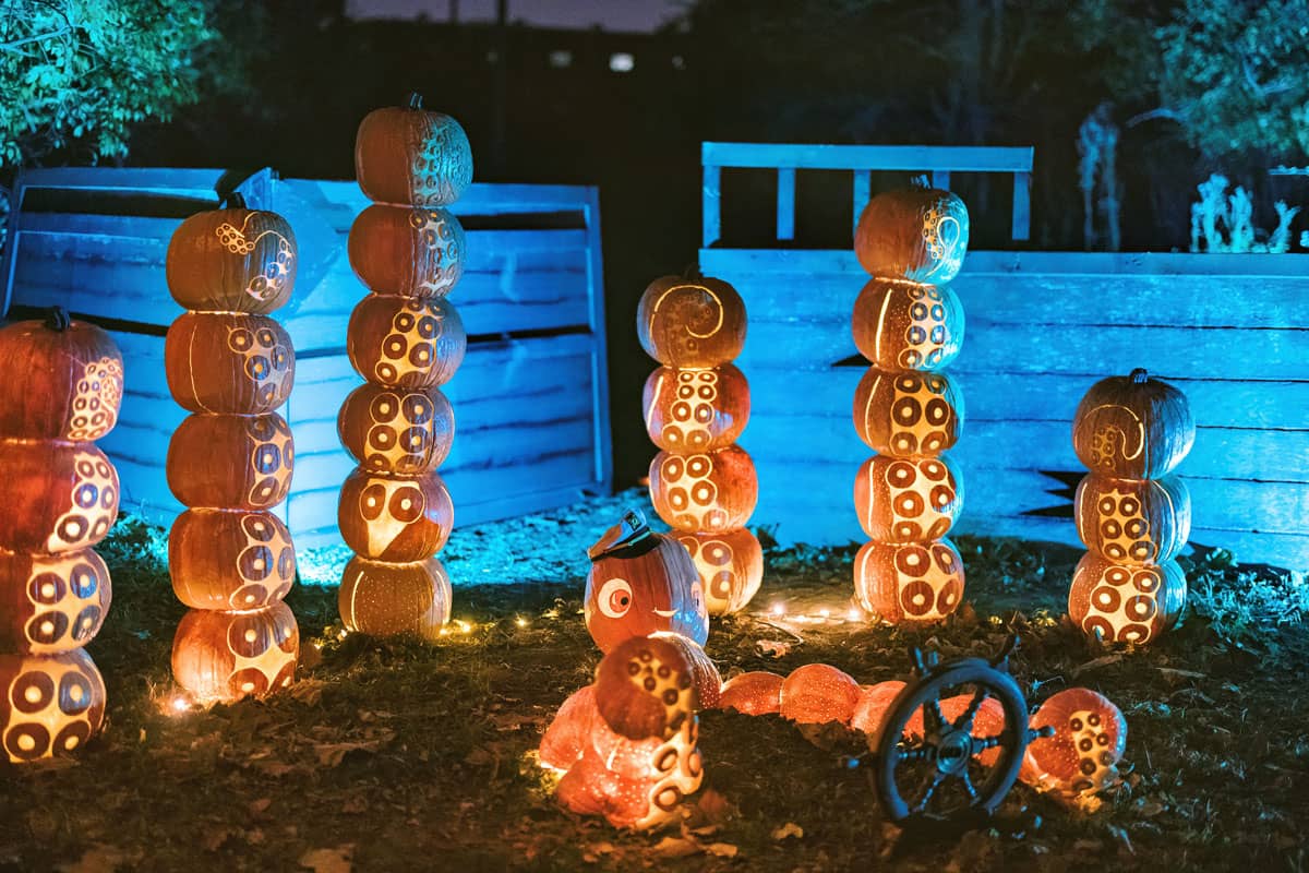 the great westerville pumpkin glow display