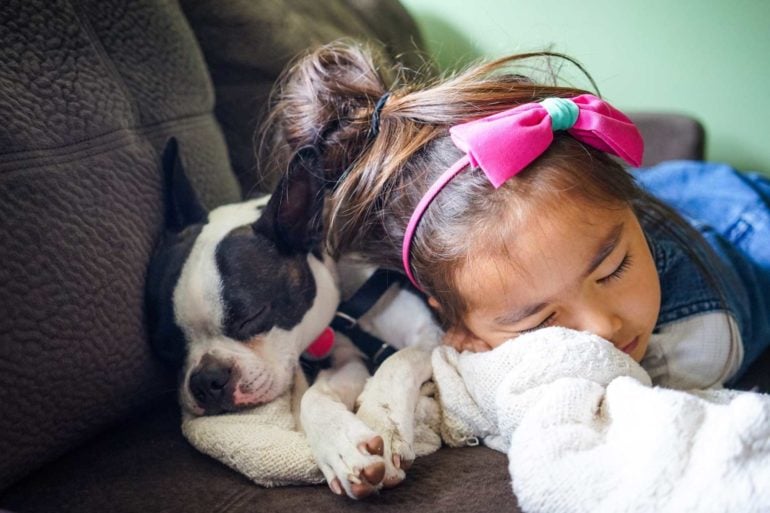 You Can Host A Dog From The Franklin County Dog Shelter For A Holiday Sleepover 1 Dog sleepover fcds 1