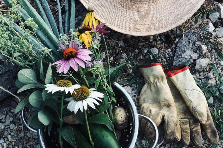 Develop Your Green Thumb With A Little Help From The Columbus Garden School 2 Columbus garden school 1