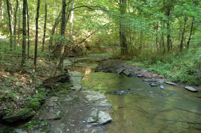 Shale Hollow Park Is A Magical Place To Connect With Nature 1 Shallow rocky creek winding through wooded trails at Shale Hollow Nature Preserve