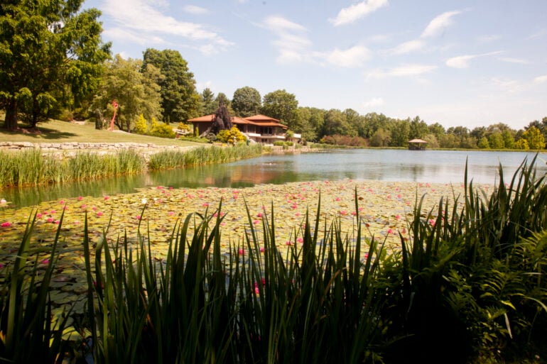 schnormeier gardens pond lillies