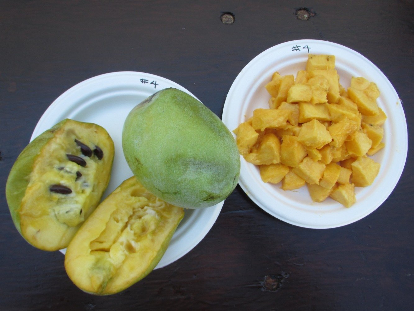 Pawpaw fruit festival in Ohio