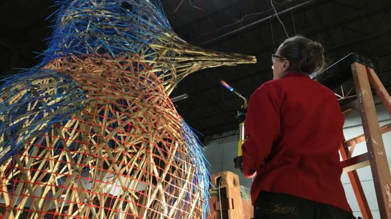 Dawes arboretum birds 1