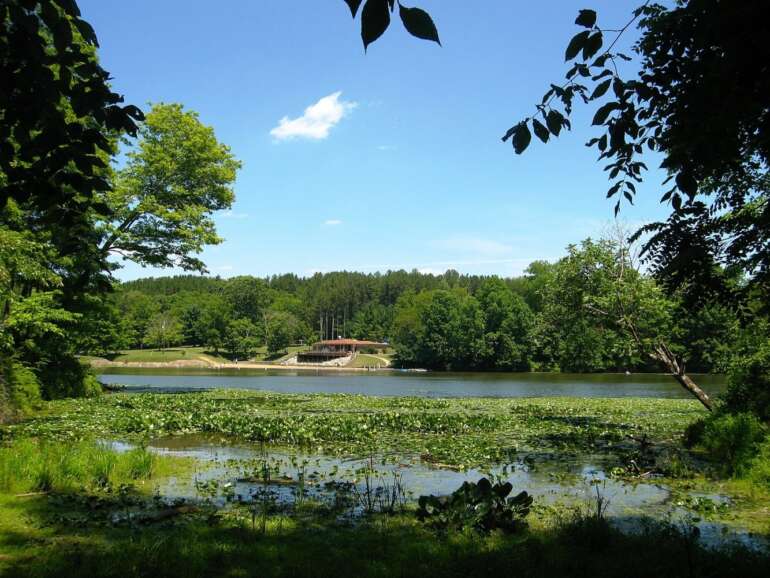 This Underrated State Park Is Home To A 100-Foot Fire Tower With Epic Views 1 1440px Blue Rock State Park Cutler Lake beach