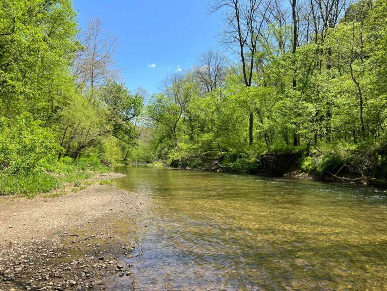The Most Magical Columbus Metro Park Isn’t In Columbus At All 9 Clear Creek flowing between gravel banks and spring-green forest at Clear Creek Metro Park