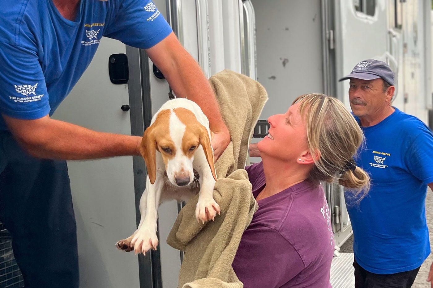 columbus-humane-beagles-4