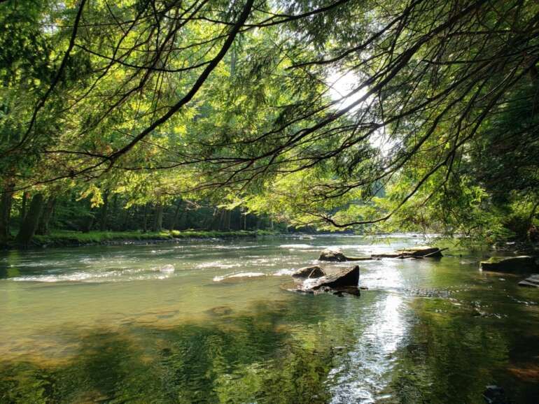 The Best Things To Do At Mohican State Park 2 Mohican State Park river framed by overhanging trees with rocks in the water