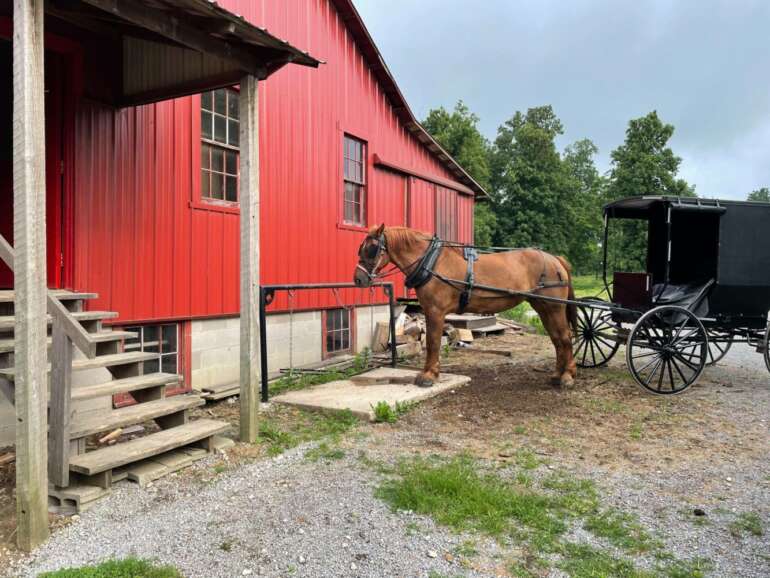 The Best Things To Do In Ohio's Amish Country 8 horse and buggy ohio amish country