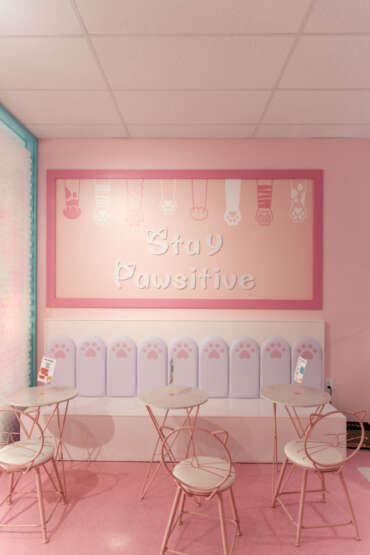 This Bright And Bubbly Cat Cafe Is A Great Place To Forget Your Worries