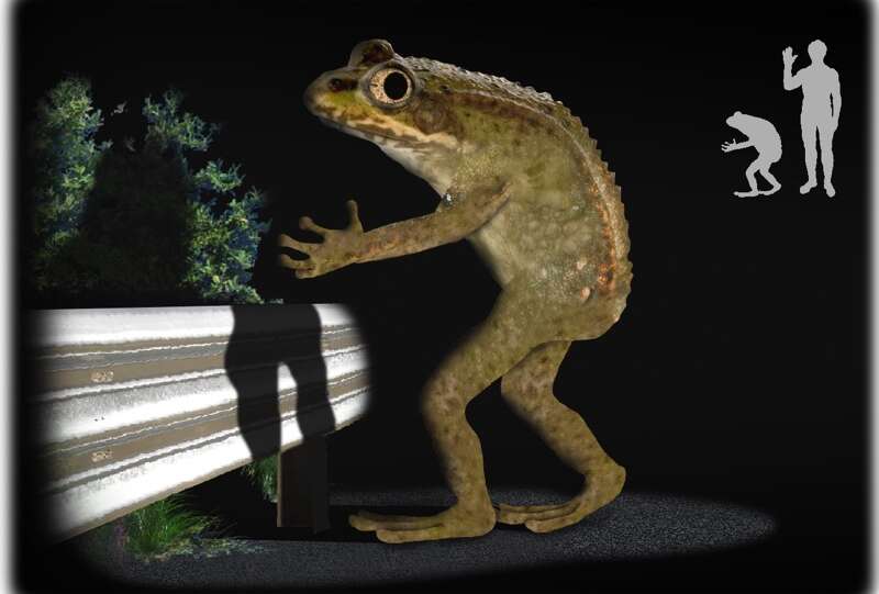 The Loveland Frog