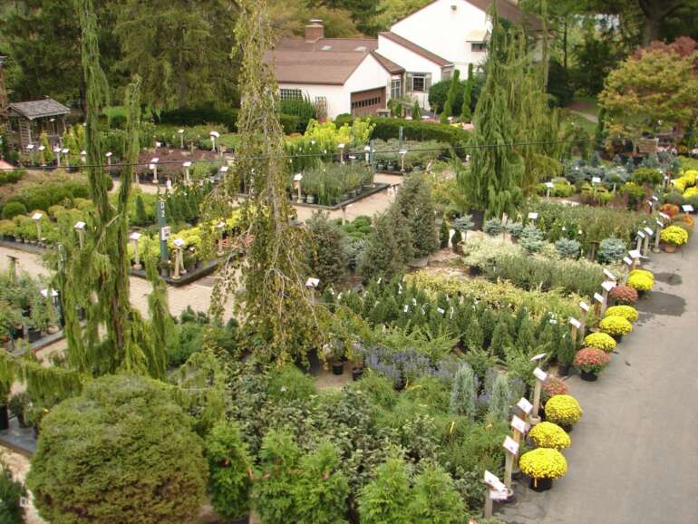 oakland nursery