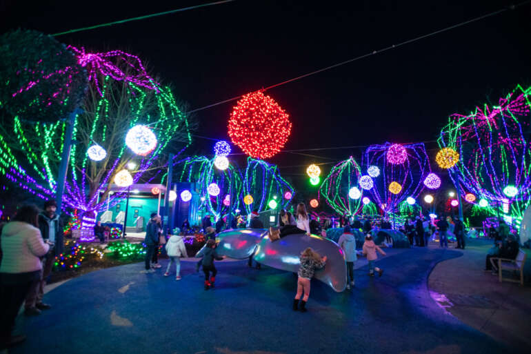 Kids play on a light-up whale sculpture among colorful trees at the Columbus Zoo's Wildlights