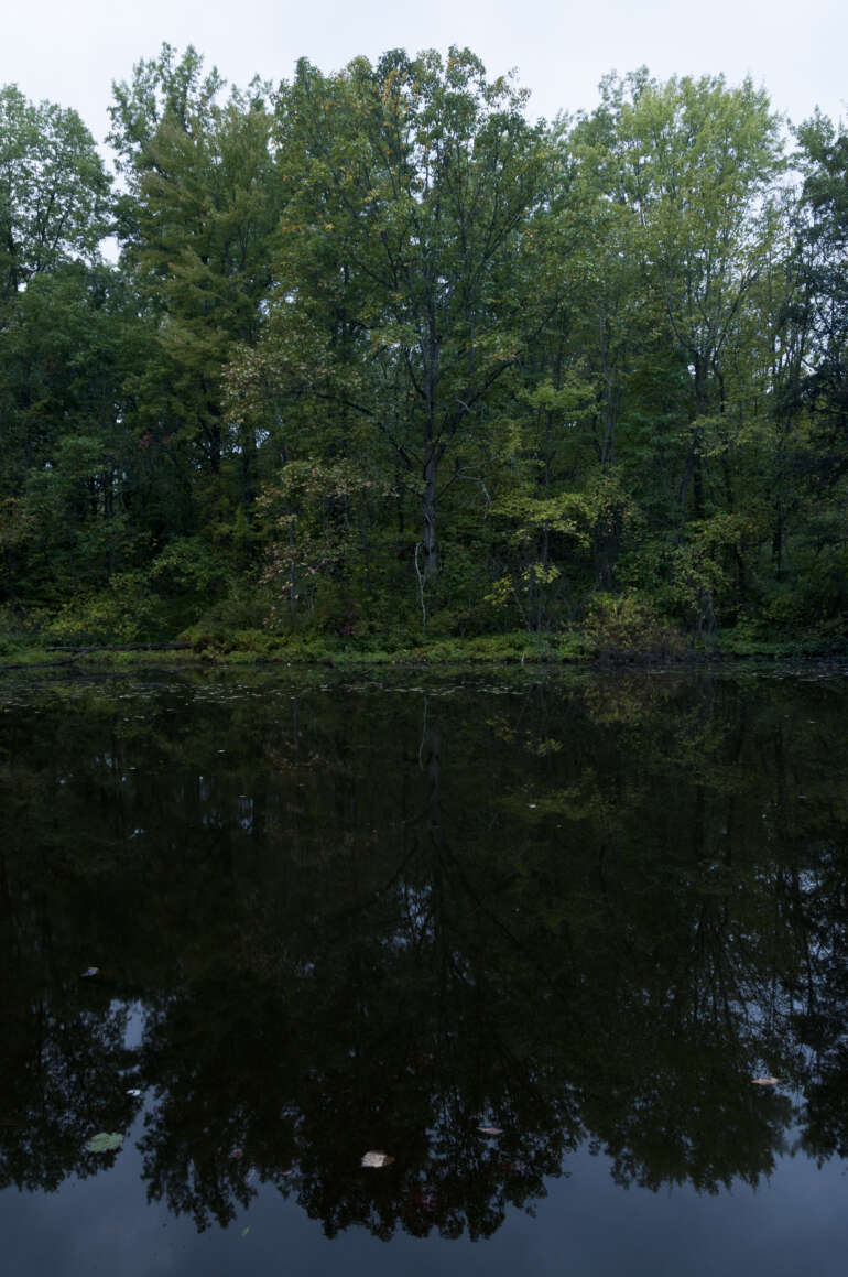 Where To Find The Best Public Golf Courses Around Central Ohio 12 Ashton Pond at Blacklick Woods Metro Park