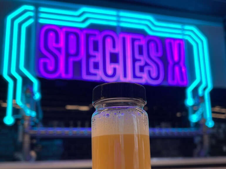 beer in front of neon sign