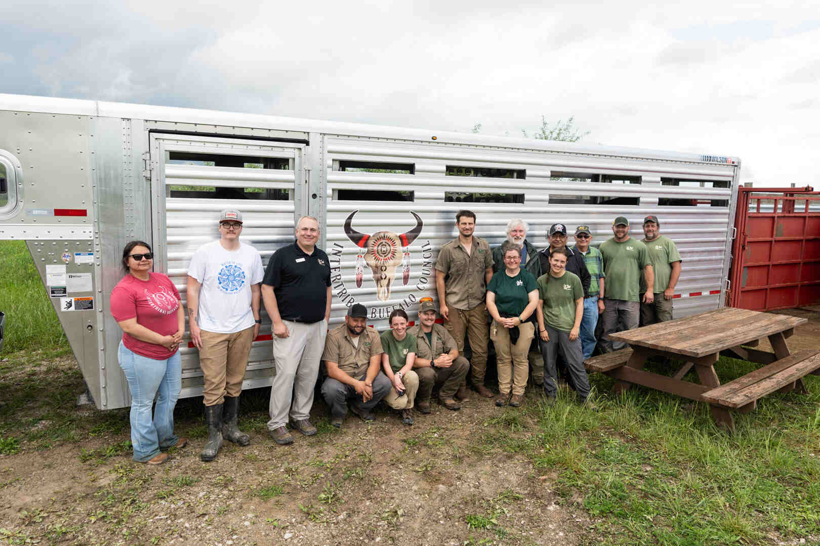 bison in trailer