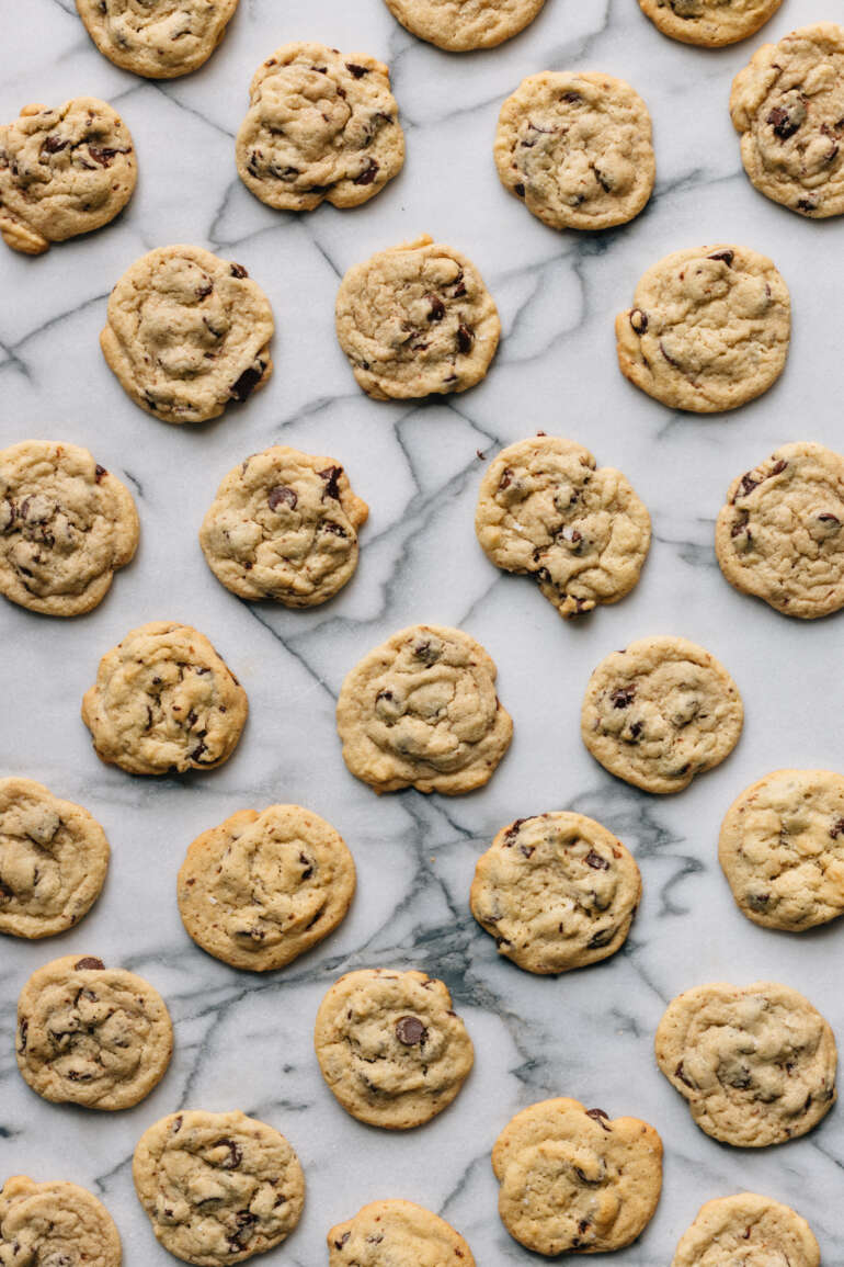 A plate of chocolate chip cookies