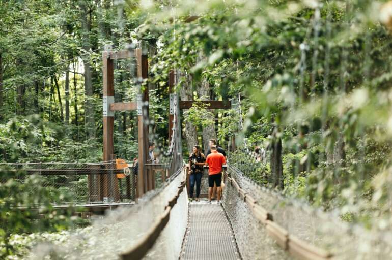 7 Must-Visit Arboretums In Ohio That’ll Make You Want To Hug A Tree 13 holden arboretum canopy walk