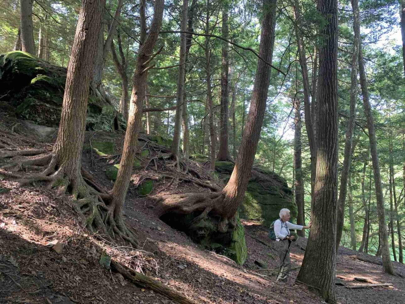 The Secret Trail That’s Worth The Permit: Inside Hocking Hills’ New ...
