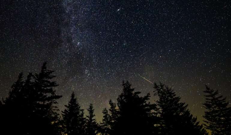 Everything You Need To Know About The 2025 Perseid Meteor Shower 5 perseid meteor shower