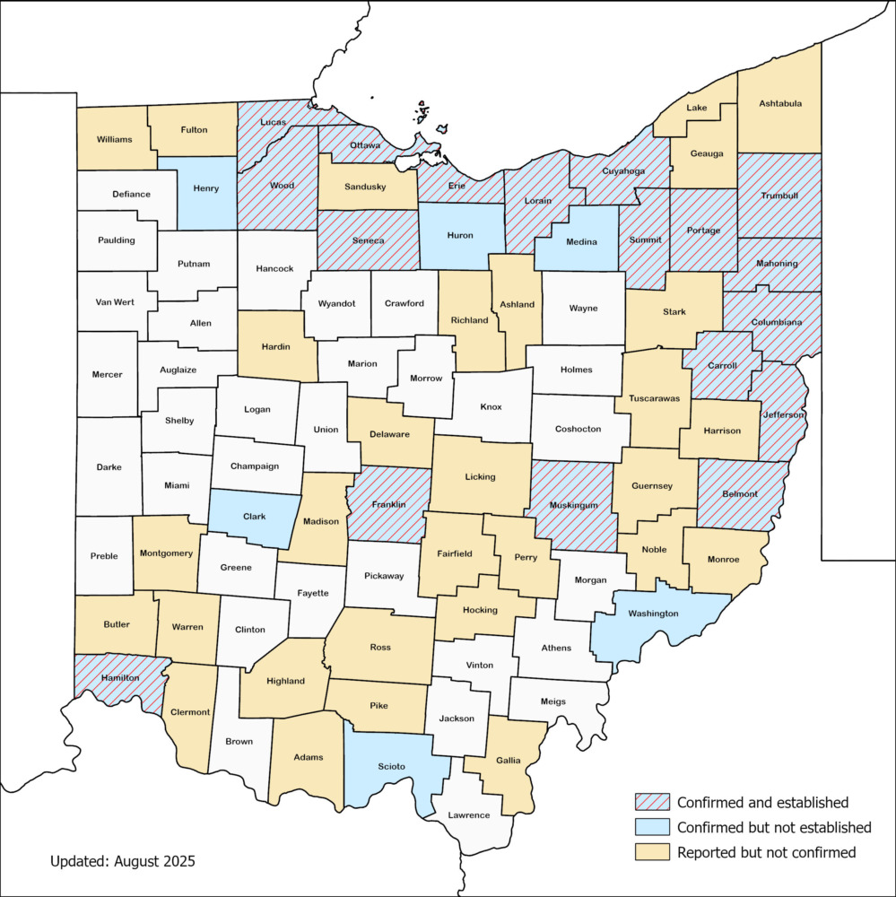 spotted lanternfly distribution map