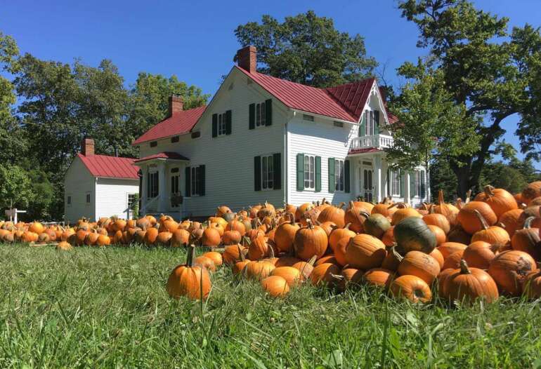 Pumpkins, Hayrides, and S’mores: The Ultimate Fall Fest Is Happening at Slate Run 3 slate run pumpkins