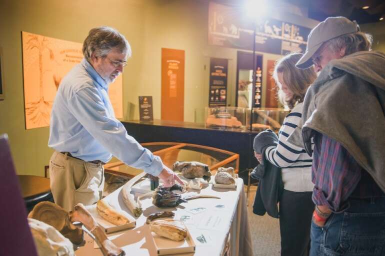 This Halloween, Dive Into Ohio’s Spookiest Legends at Fright at the Museum 1 fright at the museum ohio history
