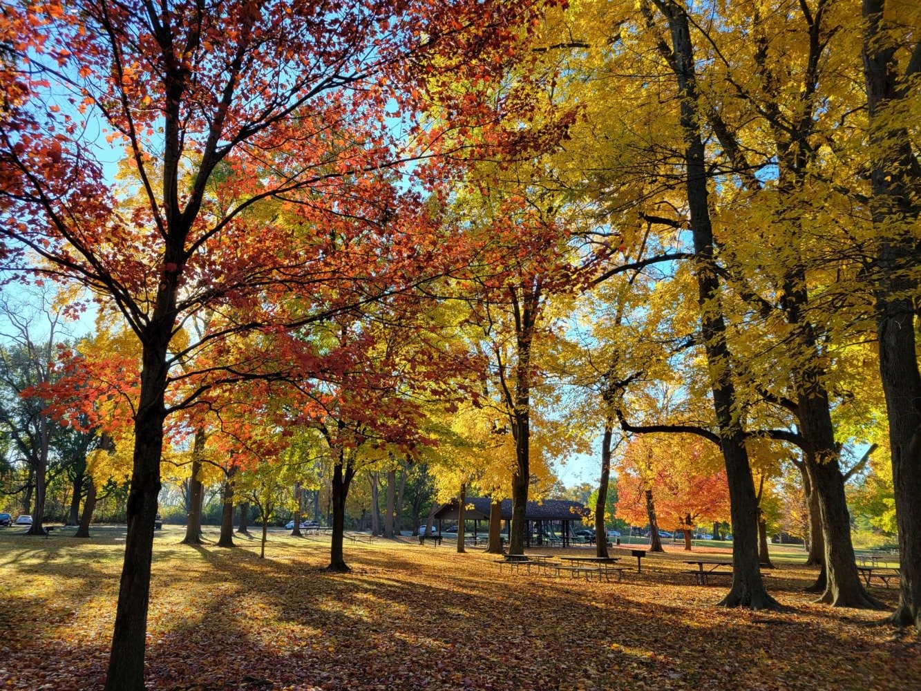 sharon woods metro park