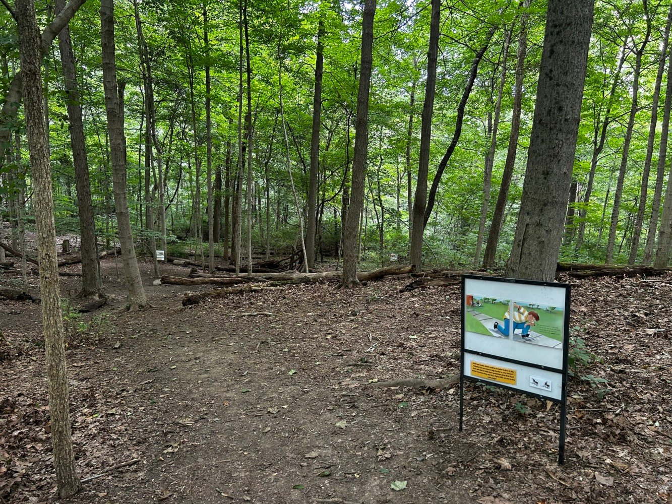 sharon woods metro park