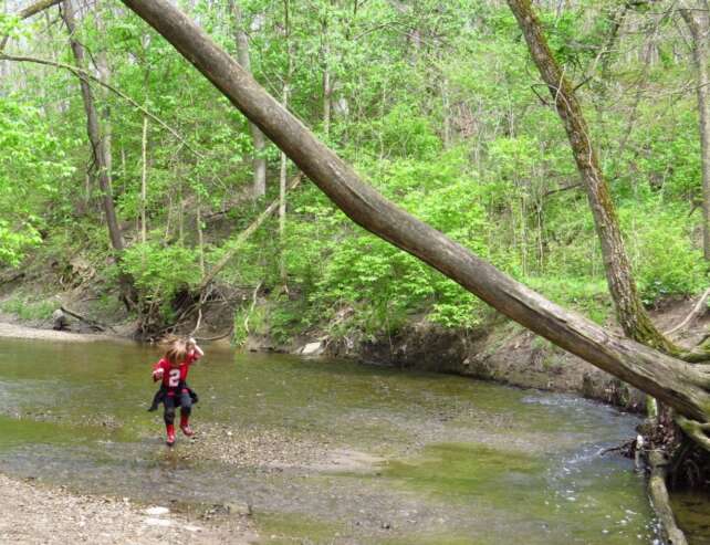 The Best Things To Do At Sharon Woods Metro Park