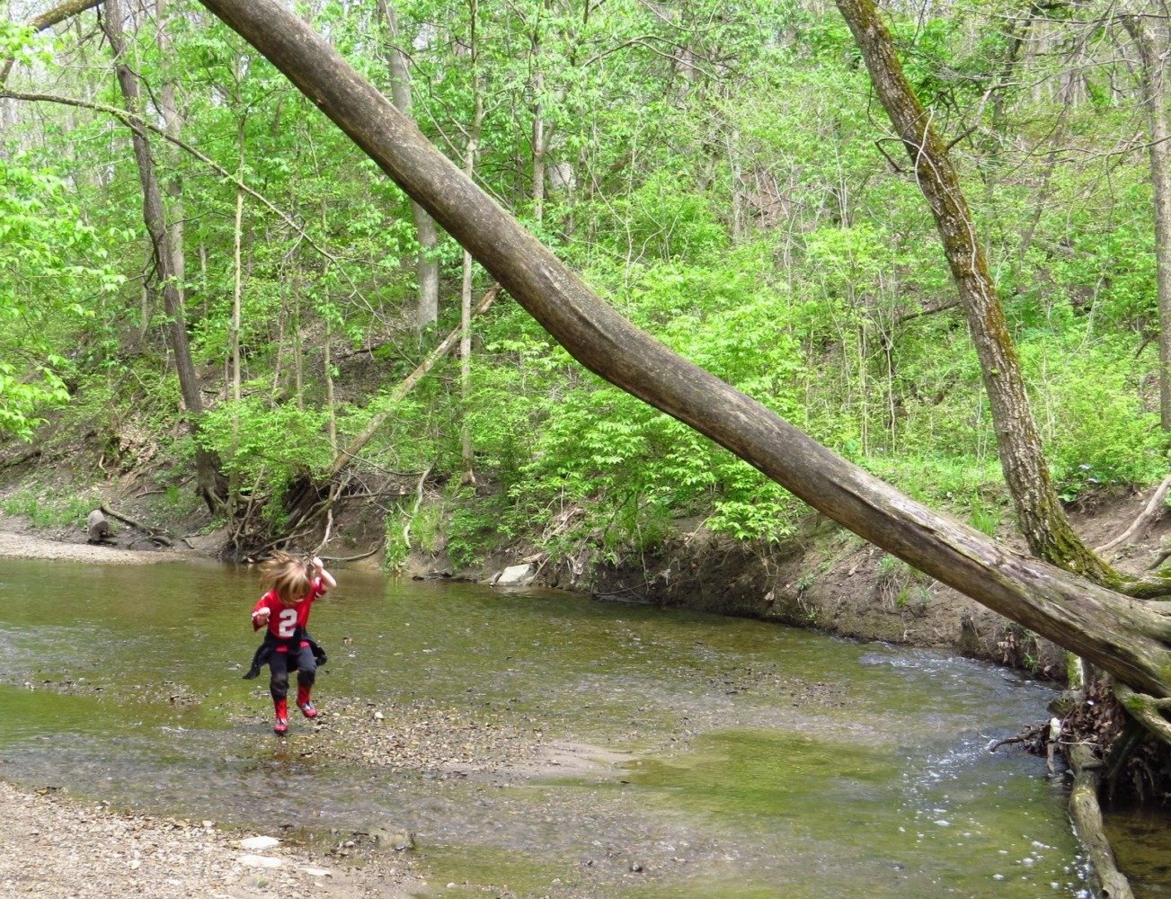 sharon woods metro park