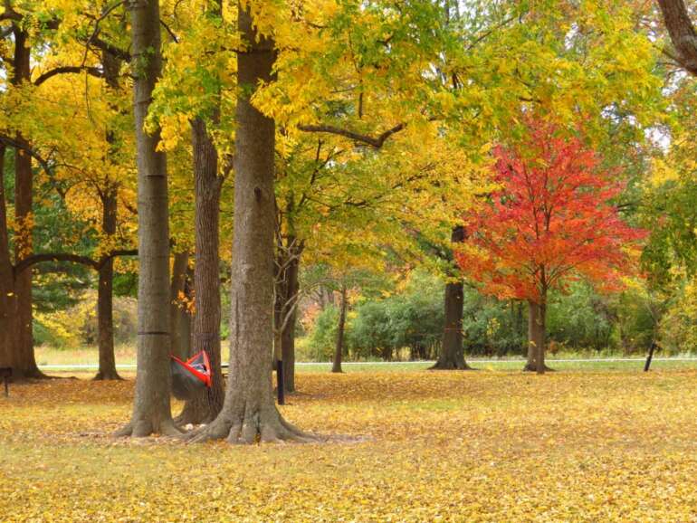 The Best Things To Do At Sharon Woods Metro Park 4 Sharon woods metro park 8