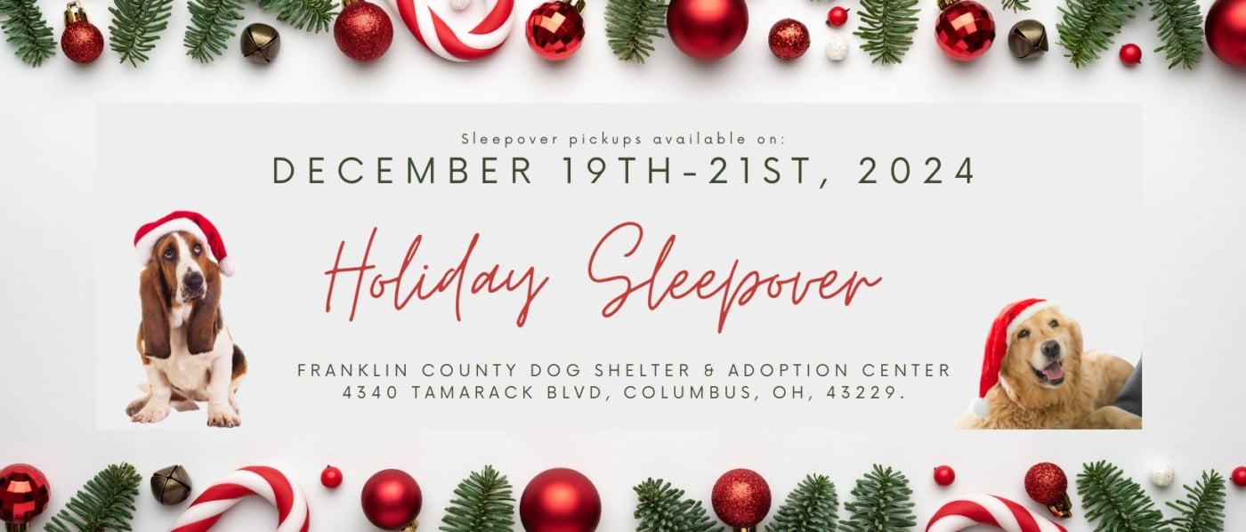 a graphic giving details about the holiday sleepover