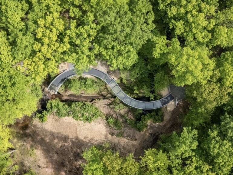 This Glass Bridge Lets You Float Above A Gorge, And It’s Right Here In Ohio 2 Aerial view of a curved boardwalk bridge winding through dense green forest canopy.