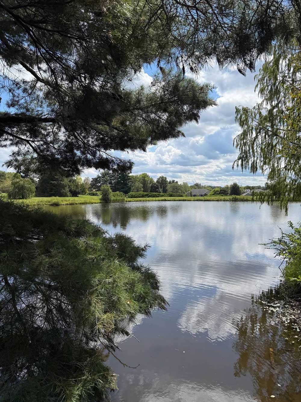 Dawes Arboretum Is The Day Trip For Anyone Looking For A Little Magic In Their Life 2 trees hanging over the edge of water dawes arboretum