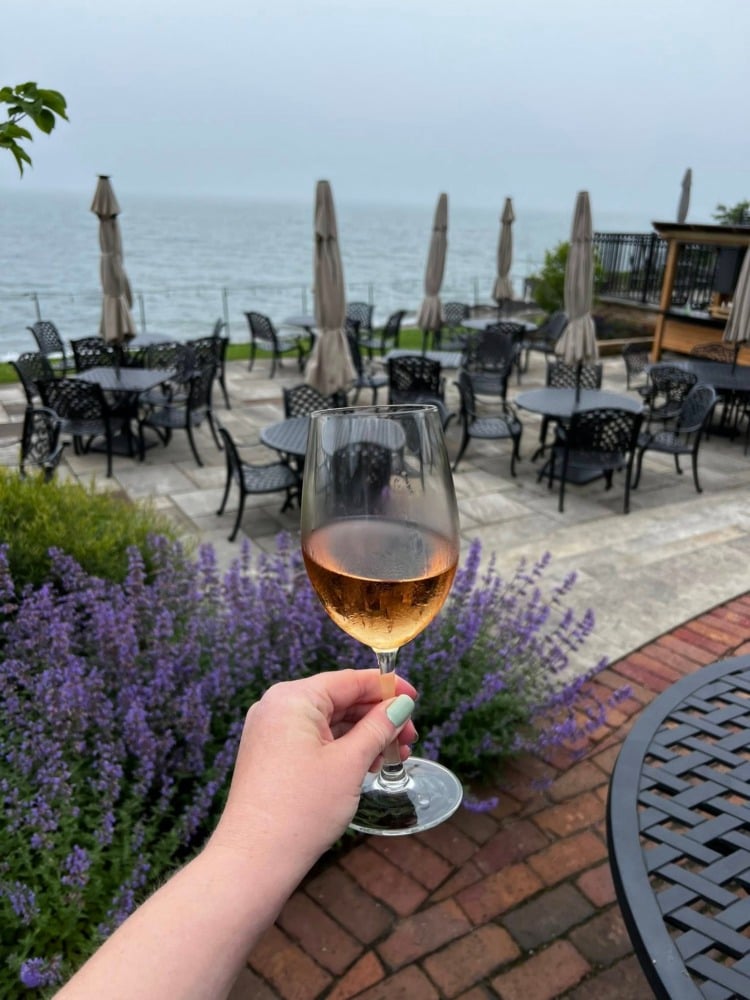 person holding wine glass