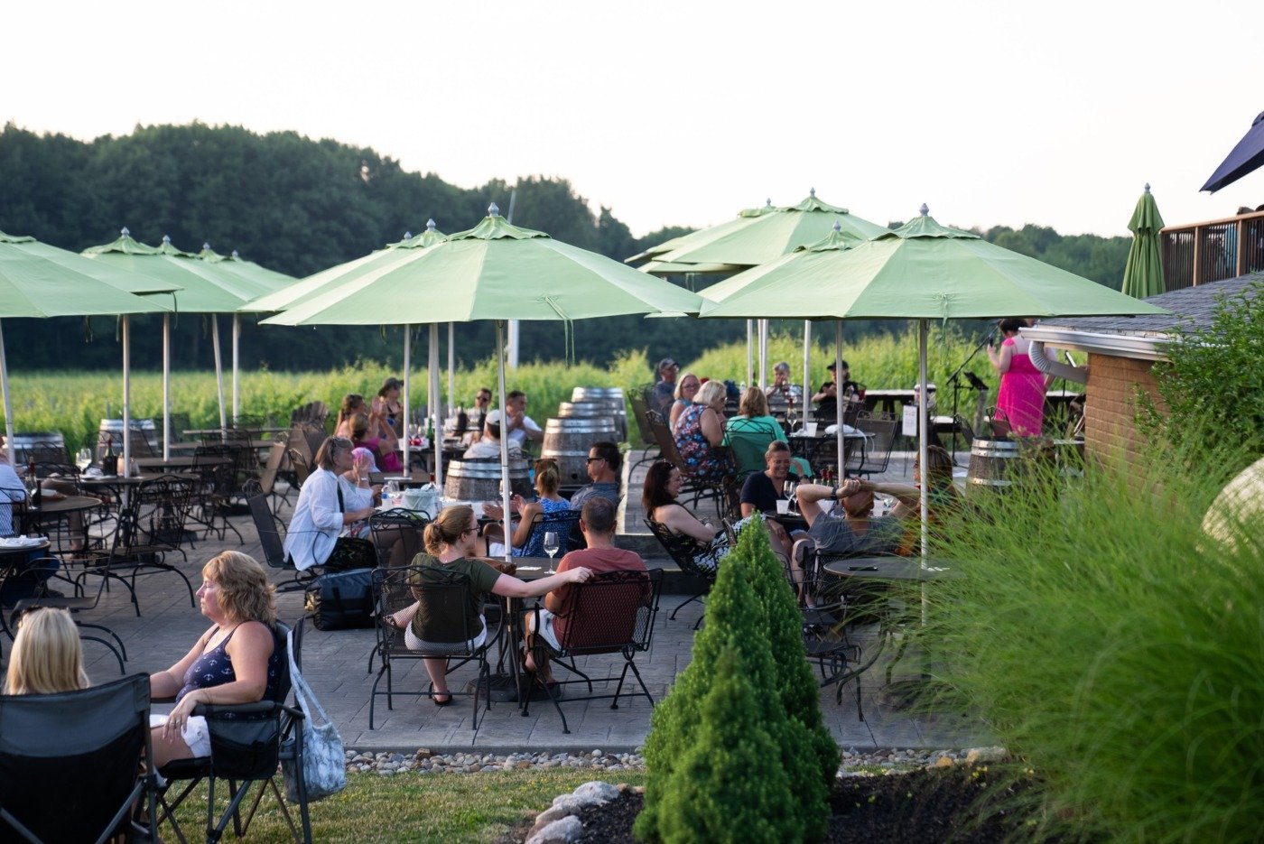 m cellars patio