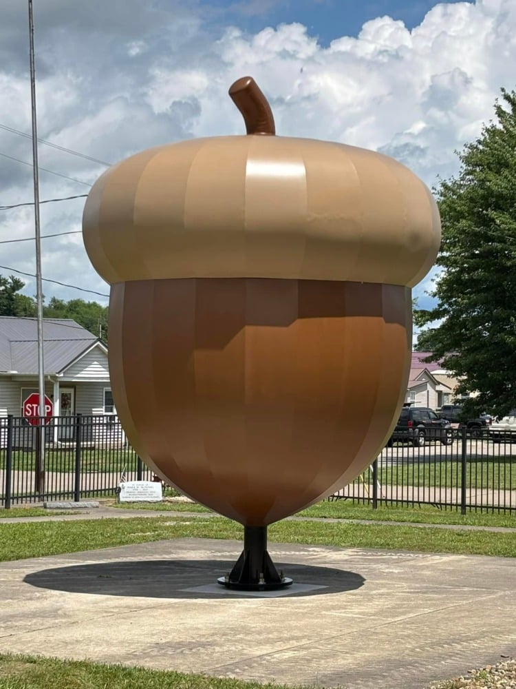 worlds largest acorn
