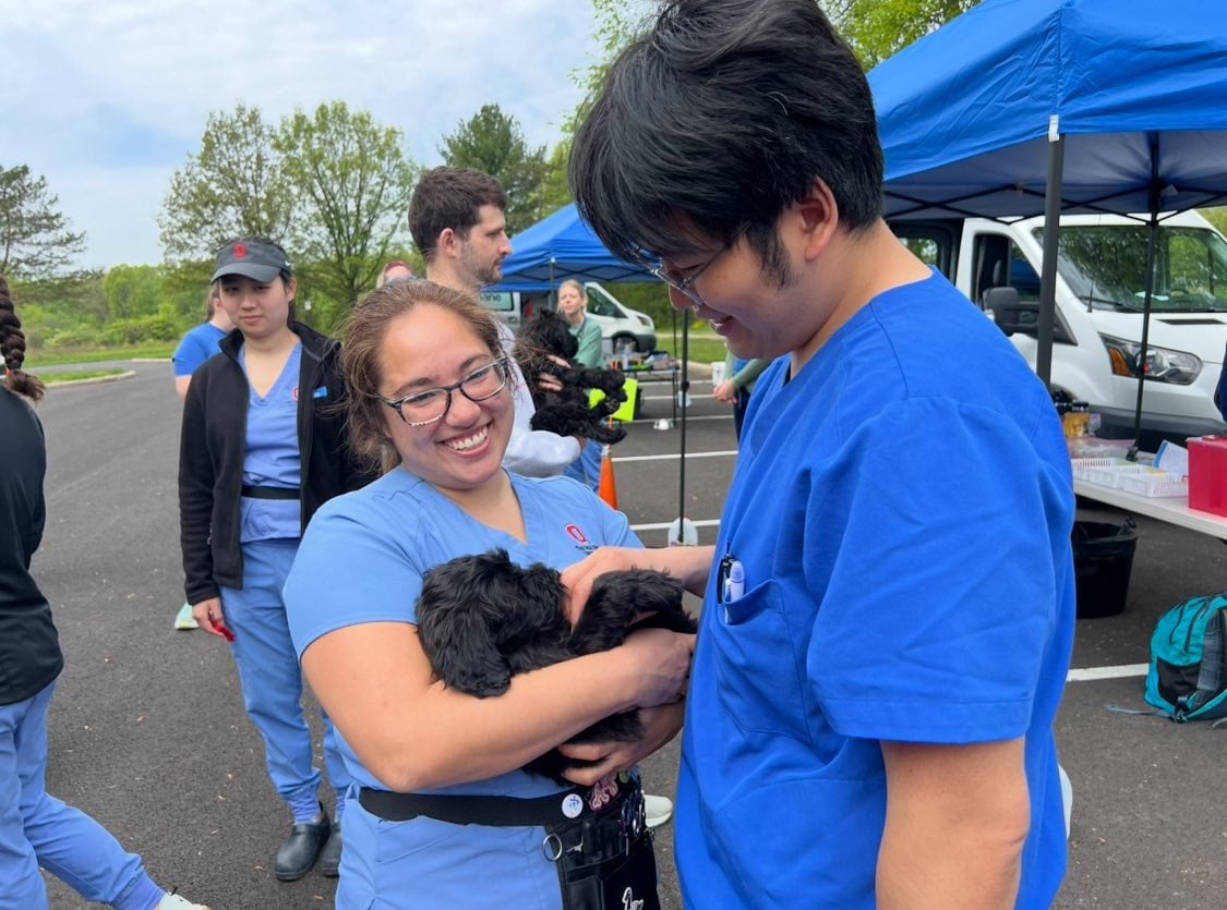 Where To Find Low-Cost Pet Vaccines In Columbus columbus humane pet vaccines