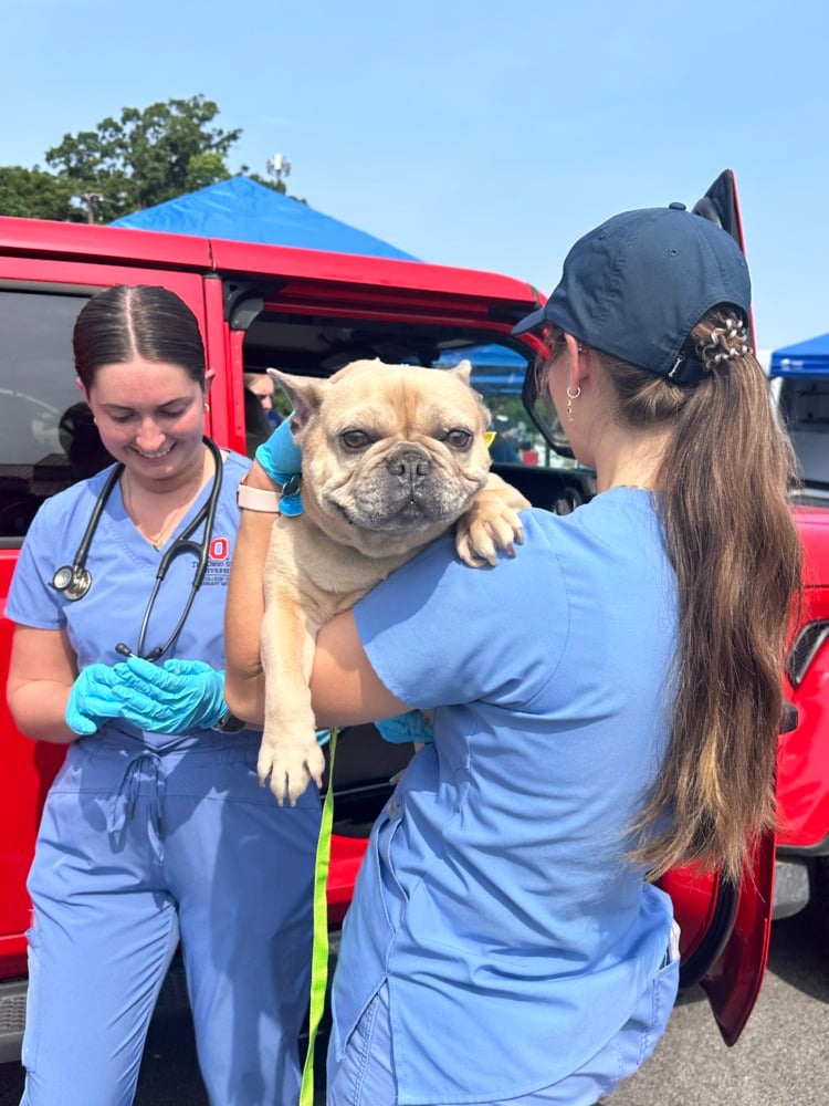 Columbus Humane Pet Vaccinations